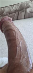 IMG-20240707-WA0002